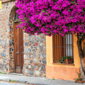 Tranh dán tường chủ đề tường hoa mẫu 10