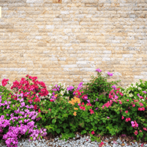 Tranh dán tường chủ đề tường hoa mẫu 3