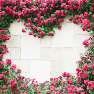 Tranh dán tường chủ đề tường hoa mẫu 5